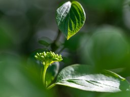 Talweiher - Joe Theiler